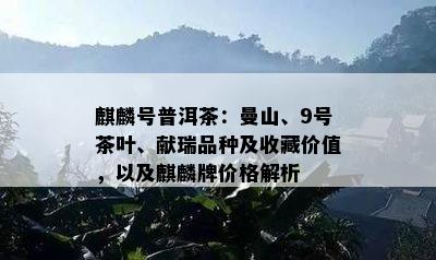 麒麟号普洱茶：曼山、9号茶叶、献瑞品种及收藏价值，以及麒麟牌价格解析