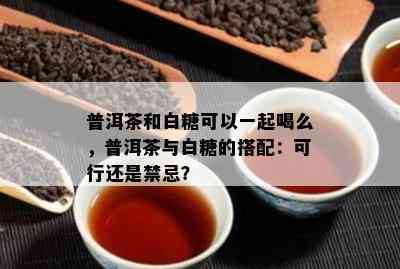 普洱茶和白糖可以一起喝么，普洱茶与白糖的搭配：可行还是禁忌？