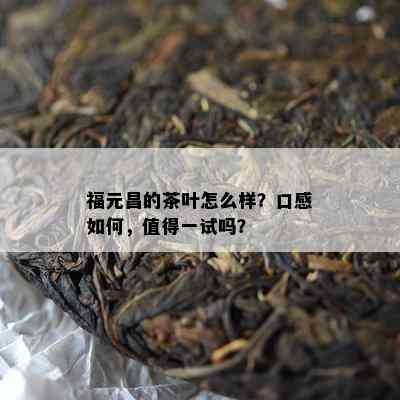 福元昌的茶叶怎么样？口感如何，值得一试吗？