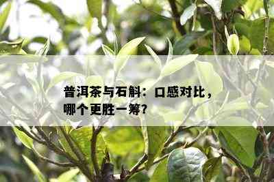 普洱茶与石斛：口感对比，哪个更胜一筹？