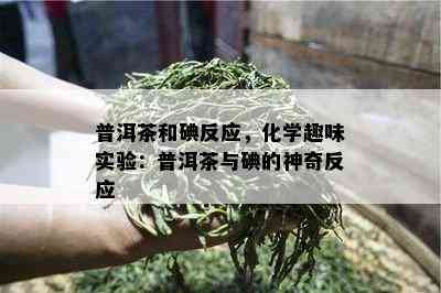 普洱茶和碘反应，化学趣味实验：普洱茶与碘的神奇反应