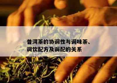 普洱茶的协调性与调味茶、调饮配方及调配的关系