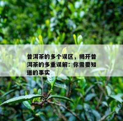 普洱茶的多个误区，揭开普洱茶的多重误解：你需要知道的事实