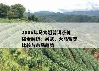 2006年马大姐普洱茶价格全解析：易武、大马帮等比较与市场趋势