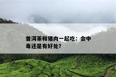 普洱茶和猪肉一起吃：会中还是有好处？