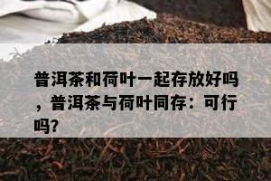 普洱茶和荷叶一起存放好吗，普洱茶与荷叶同存：可行吗？