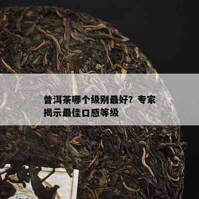 普洱茶哪个级别更好？专家揭示更佳口感等级