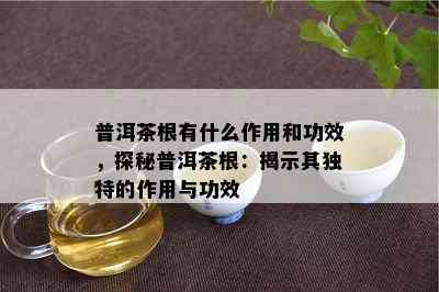 普洱茶根有什么作用和功效，探秘普洱茶根：揭示其独特的作用与功效