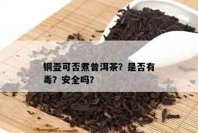 铜壶可否煮普洱茶？是否有？安全吗？