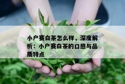 小户赛白茶怎么样，深度解析：小户赛白茶的口感与品质特点