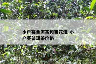 小户赛普洱茶和百花潭-小户赛普洱茶价格