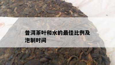 普洱茶叶和水的更佳比例及泡制时间