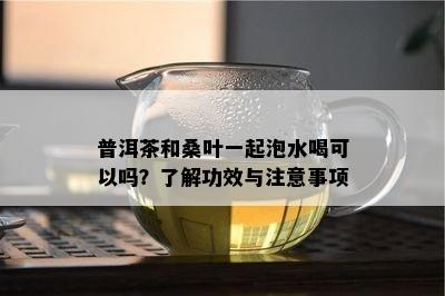 普洱茶和桑叶一起泡水喝可以吗？了解功效与注意事项