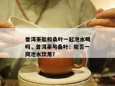 普洱茶能和桑叶一起泡水喝吗，普洱茶与桑叶：能否一同泡水饮用？