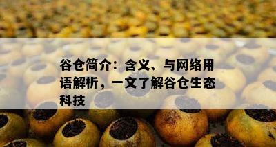 谷仓简介：含义、与网络用语解析，一文了解谷仓生态科技