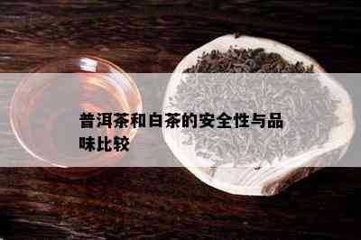 普洱茶和白茶的安全性与品味比较