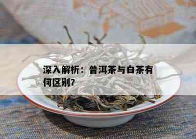 深入解析：普洱茶与白茶有何区别？