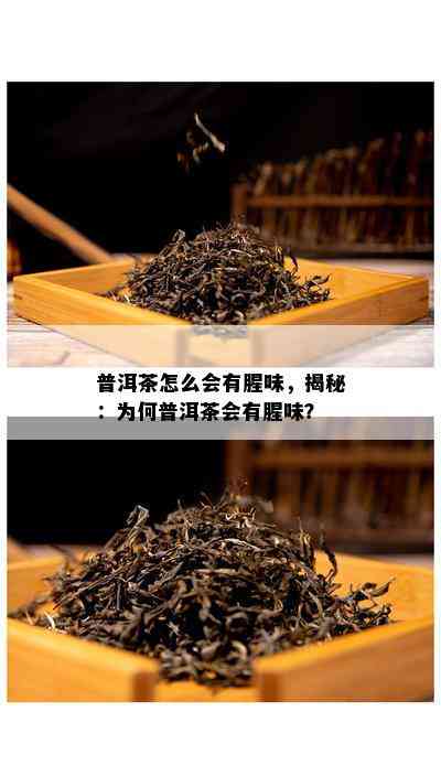 普洱茶怎么会有腥味，揭秘：为何普洱茶会有腥味？