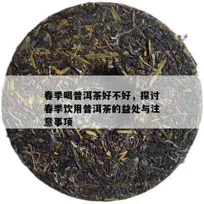 春季喝普洱茶好不好，探讨春季饮用普洱茶的益处与注意事项