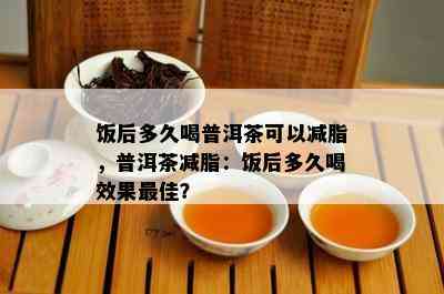 饭后多久喝普洱茶可以减脂，普洱茶减脂：饭后多久喝效果更佳？