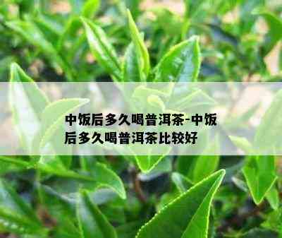 中饭后多久喝普洱茶-中饭后多久喝普洱茶比较好