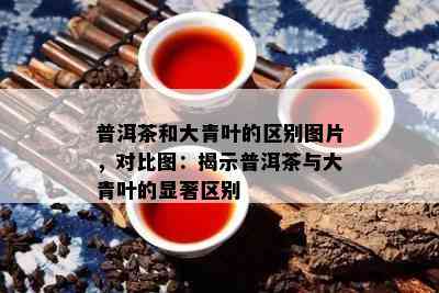 普洱茶和大青叶的区别图片，对比图：揭示普洱茶与大青叶的显著区别