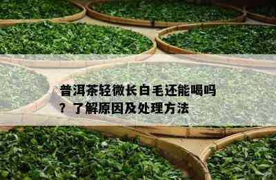 普洱茶轻微长白毛还能喝吗？了解原因及处理方法