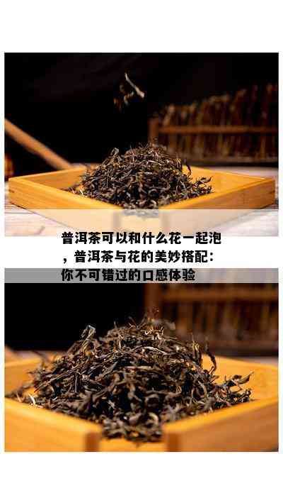 普洱茶可以和什么花一起泡，普洱茶与花的美妙搭配：你不可错过的口感体验