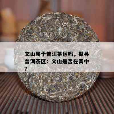 文山属于普洱茶区吗，探寻普洱茶区：文山是否在其中？