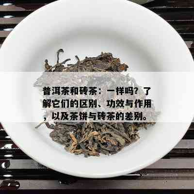 普洱茶和砖茶：一样吗？了解它们的区别、功效与作用，以及茶饼与砖茶的差别。