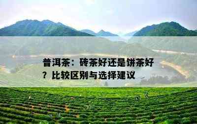 普洱茶：砖茶好还是饼茶好？比较区别与选择建议