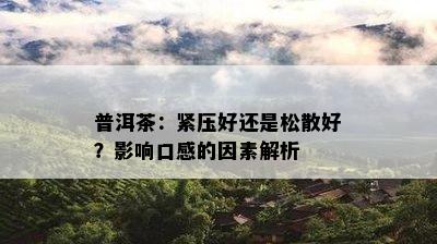 普洱茶：紧压好还是松散好？影响口感的因素解析