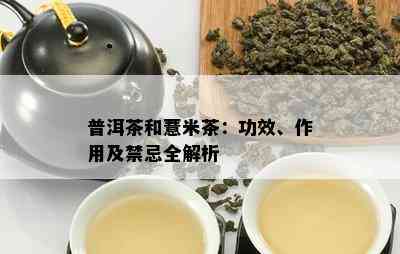 普洱茶和薏米茶：功效、作用及禁忌全解析