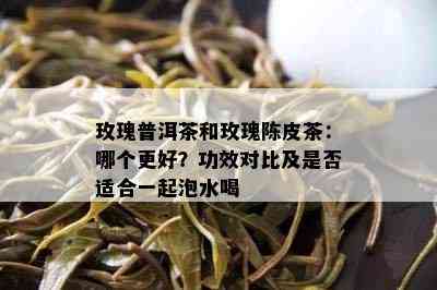 玫瑰普洱茶和玫瑰陈皮茶：哪个更好？功效对比及是否适合一起泡水喝