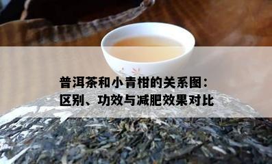 普洱茶和小青柑的关系图：区别、功效与减肥效果对比