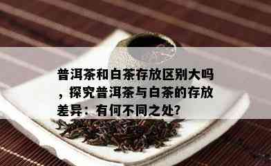 普洱茶和白茶存放区别大吗，探究普洱茶与白茶的存放差异：有何不同之处？