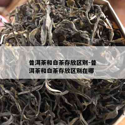 普洱茶和白茶存放区别-普洱茶和白茶存放区别在哪