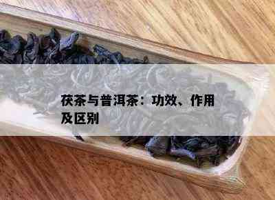 茯茶与普洱茶：功效、作用及区别