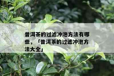 普洱茶的过滤冲泡方法有哪些，「普洱茶的过滤冲泡方法大全」