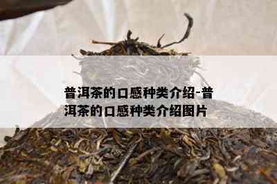 普洱茶的口感种类介绍-普洱茶的口感种类介绍图片