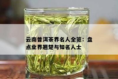 云南普洱茶界名人全览：盘点业界翘楚与知名人士