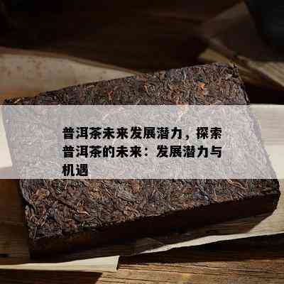 普洱茶未来发展潜力，探索普洱茶的未来：发展潜力与机遇