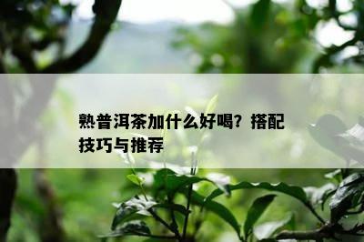 熟普洱茶加什么好喝？搭配技巧与推荐