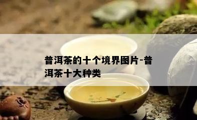 普洱茶的十个境界图片-普洱茶十大种类