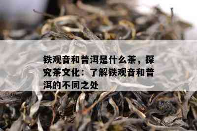 铁观音和普洱是什么茶，探究茶文化：了解铁观音和普洱的不同之处