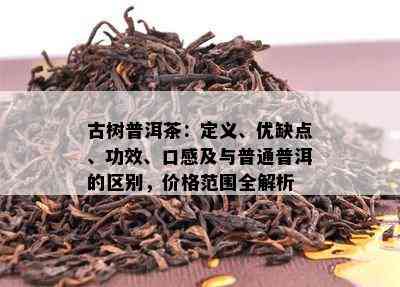 古树普洱茶：定义、优缺点、功效、口感及与普通普洱的区别，价格范围全解析