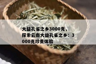 大益孔雀之乡3000克，探索云南大益孔雀之乡：3000克珍贵体验