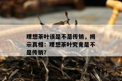 理想茶叶该是不是传销，揭示真相：理想茶叶究竟是不是传销？