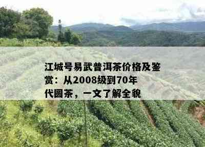 江城号易武普洱茶价格及鉴赏：从2008级到70年代圆茶，一文了解全貌