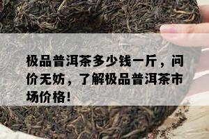 极品普洱茶多少钱一斤，问价无妨，了解极品普洱茶市场价格！